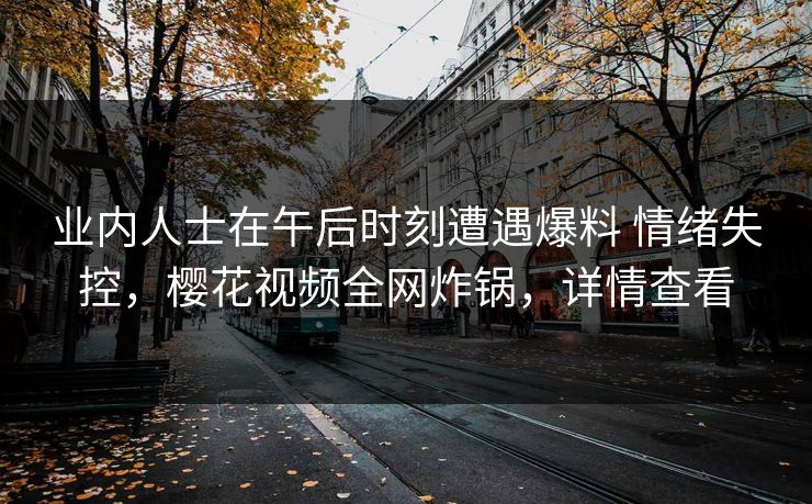 业内人士在午后时刻遭遇爆料 情绪失控，樱花视频全网炸锅，详情查看